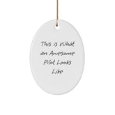 Funny Pilot Gifts from Friends for Christmas - Oval Ornament with Quote 'This Is What An Awesome Pilot Looks Like' - Image 1